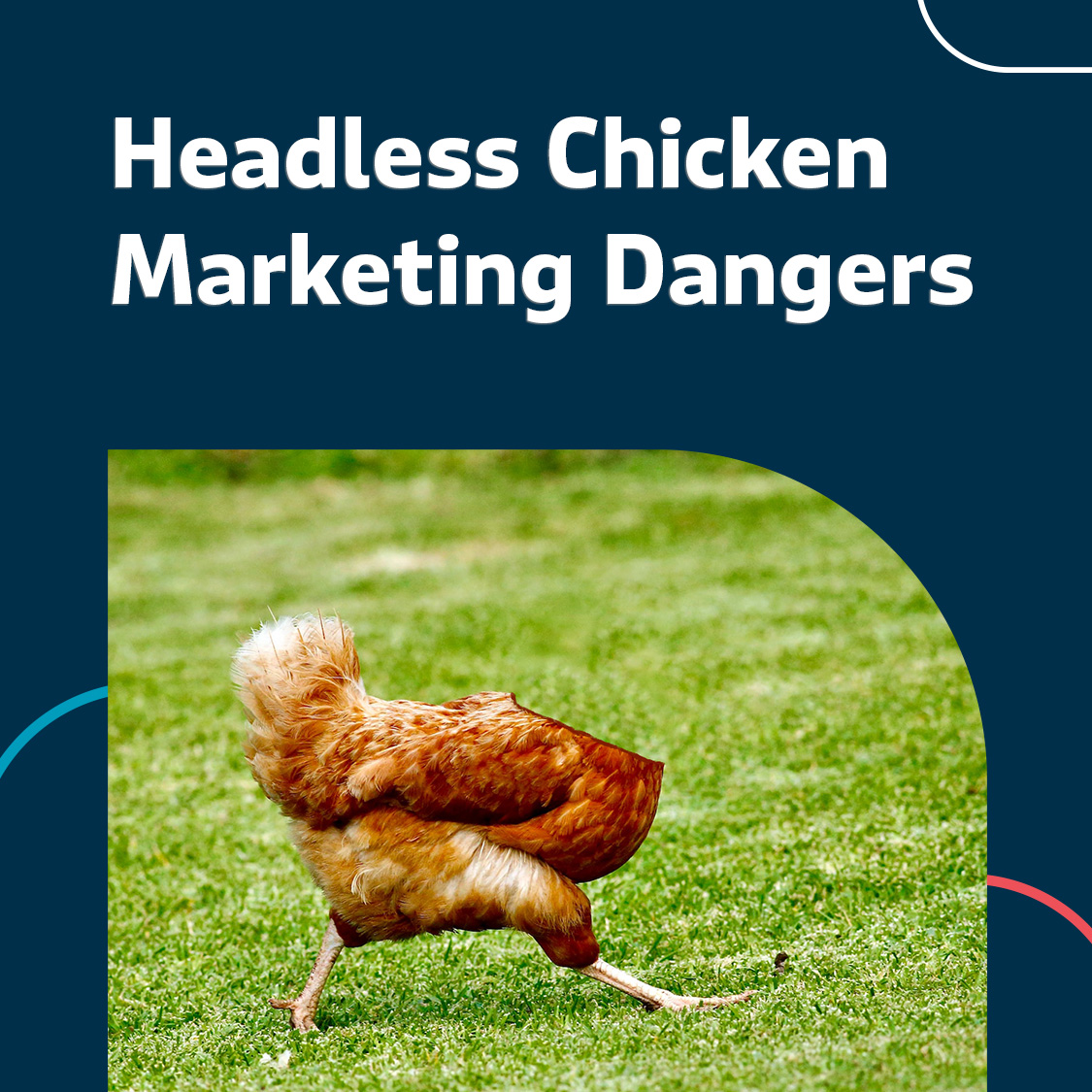 the-dangers-of-headless-chicken-marketing-axies-digital