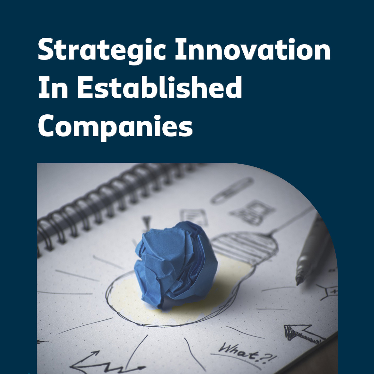 Managing Disruption Strategic Innovation In Established Companies